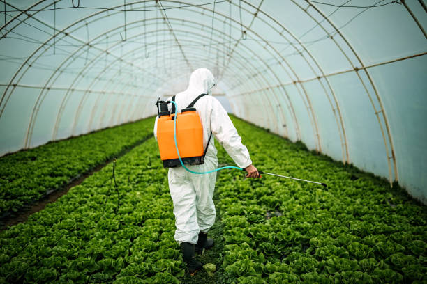 Best Pest Inspection Near Me  in Scottsbluff, NE