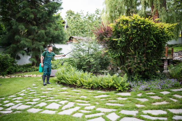Best Commercial Pest Control Services  in Scottsbluff, NE