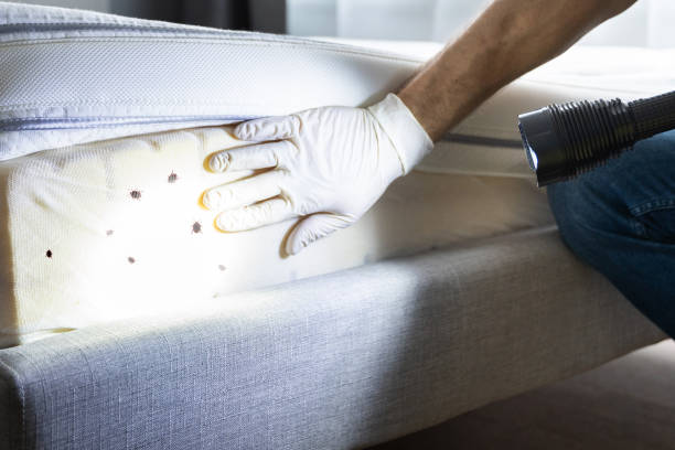 Best Best Pest Control Companies  in Scottsbluff, NE