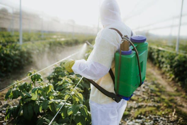 Best Wasp Removal Services  in Scottsbluff, NE